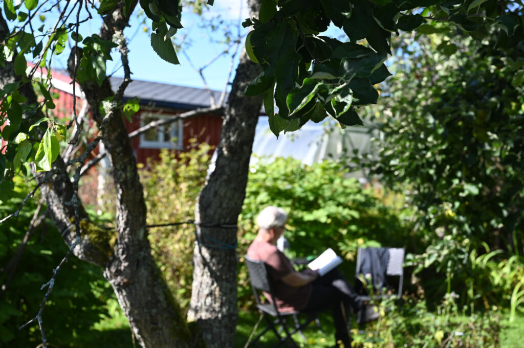 Brynjar i Sogn hagekoloni