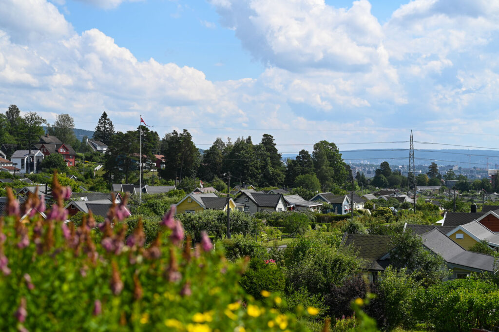 Solvang kolonihager avdeling 4
